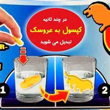 کپسول