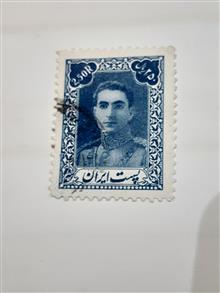250