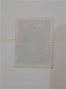250