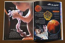 چشم