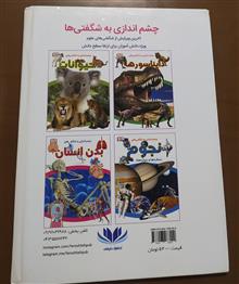 چشم