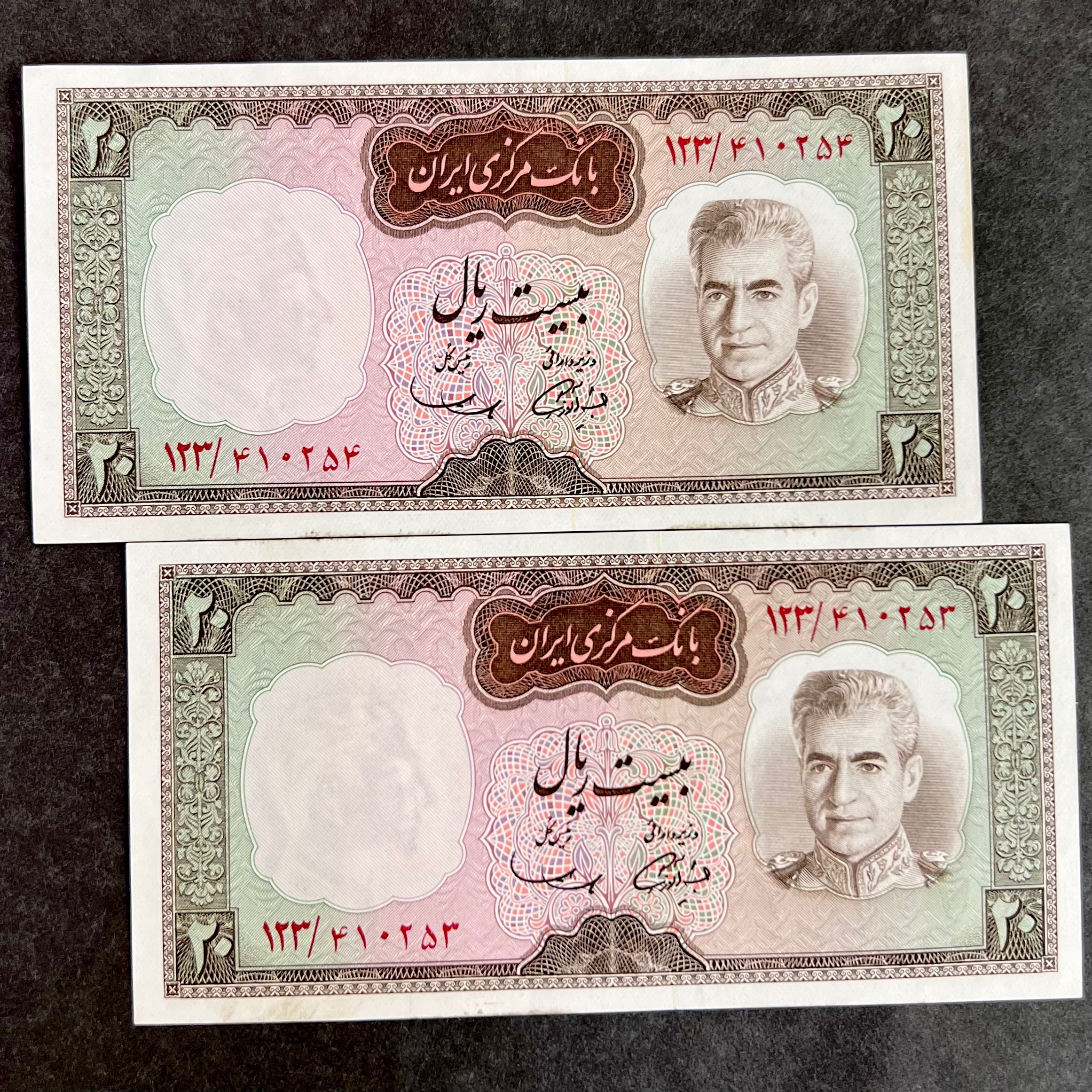 جفت 20 ریالی شکارگاهی