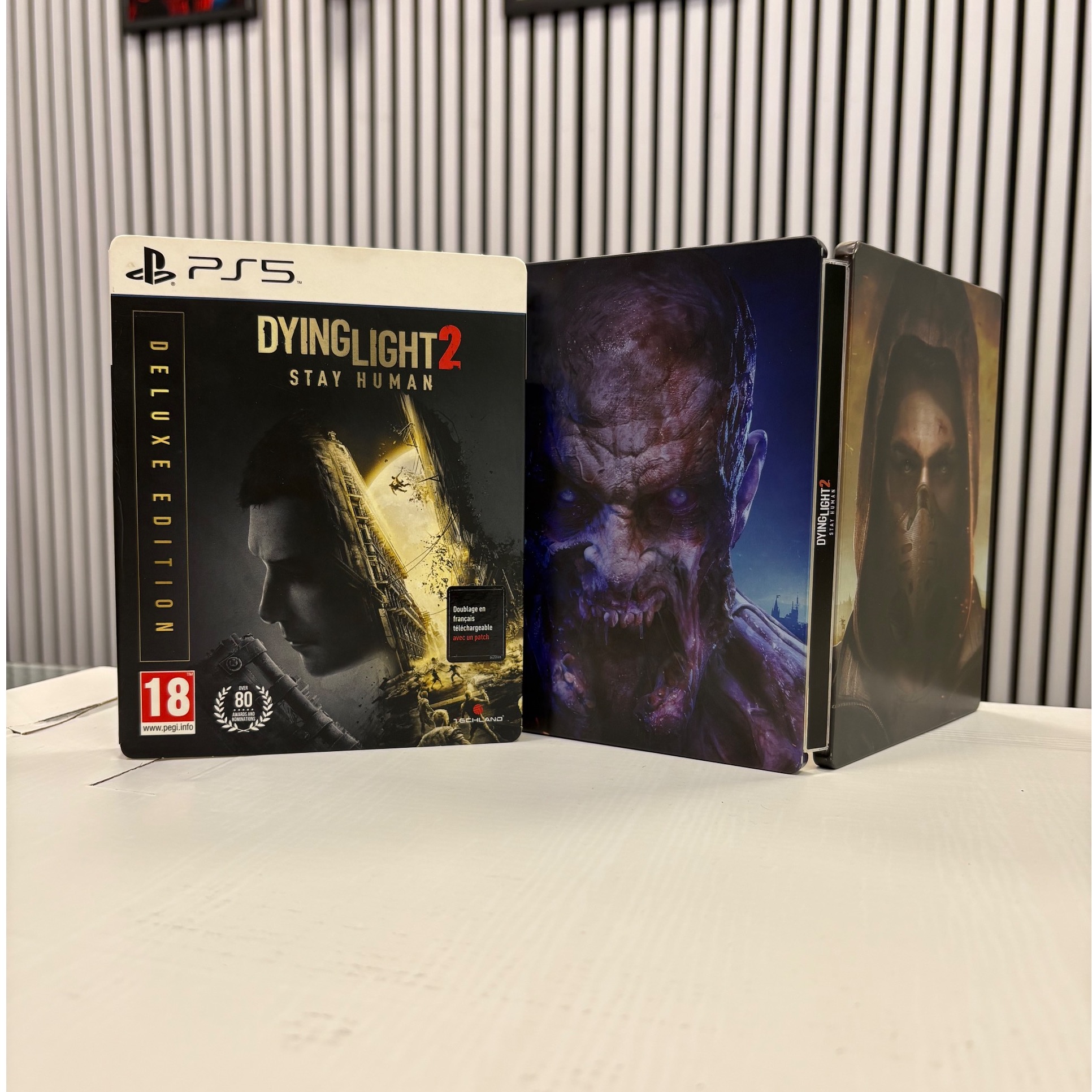 بازی Dying Light 2 استیل بوک