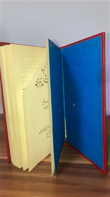 گزیده