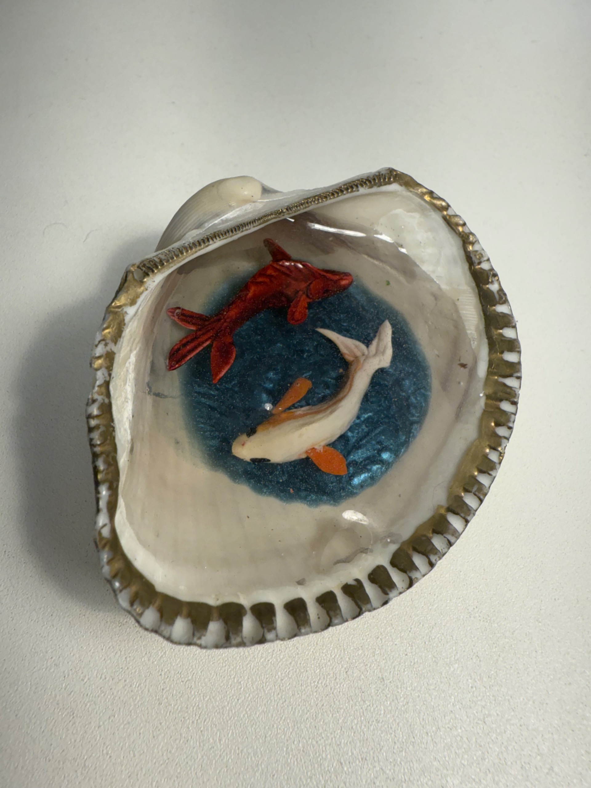 صدف بزرگ با ماهی رزین