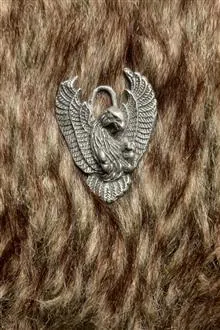 اویز