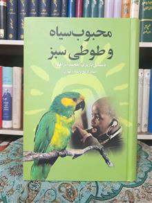 محبوب
