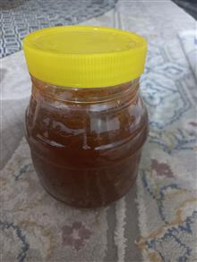 مرباهویچ