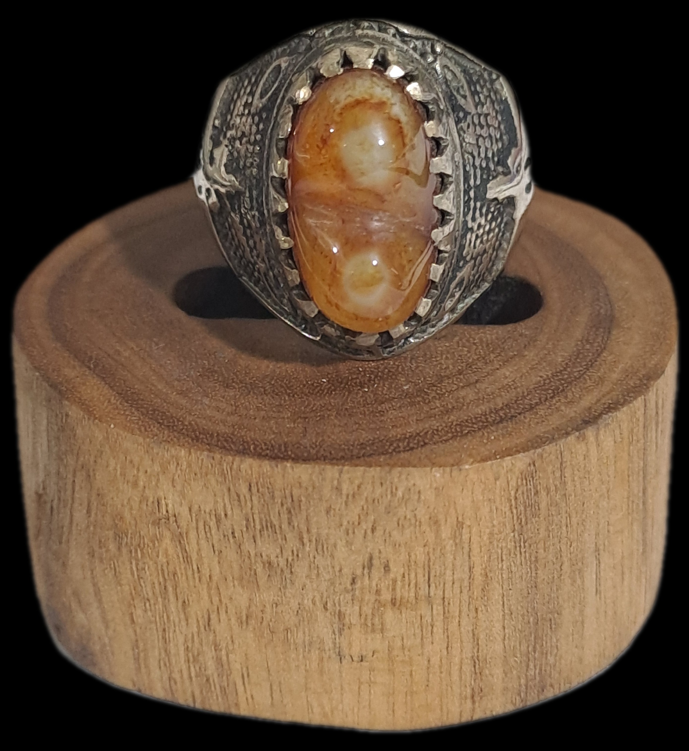 باباقوری دو کوهان-کد 934