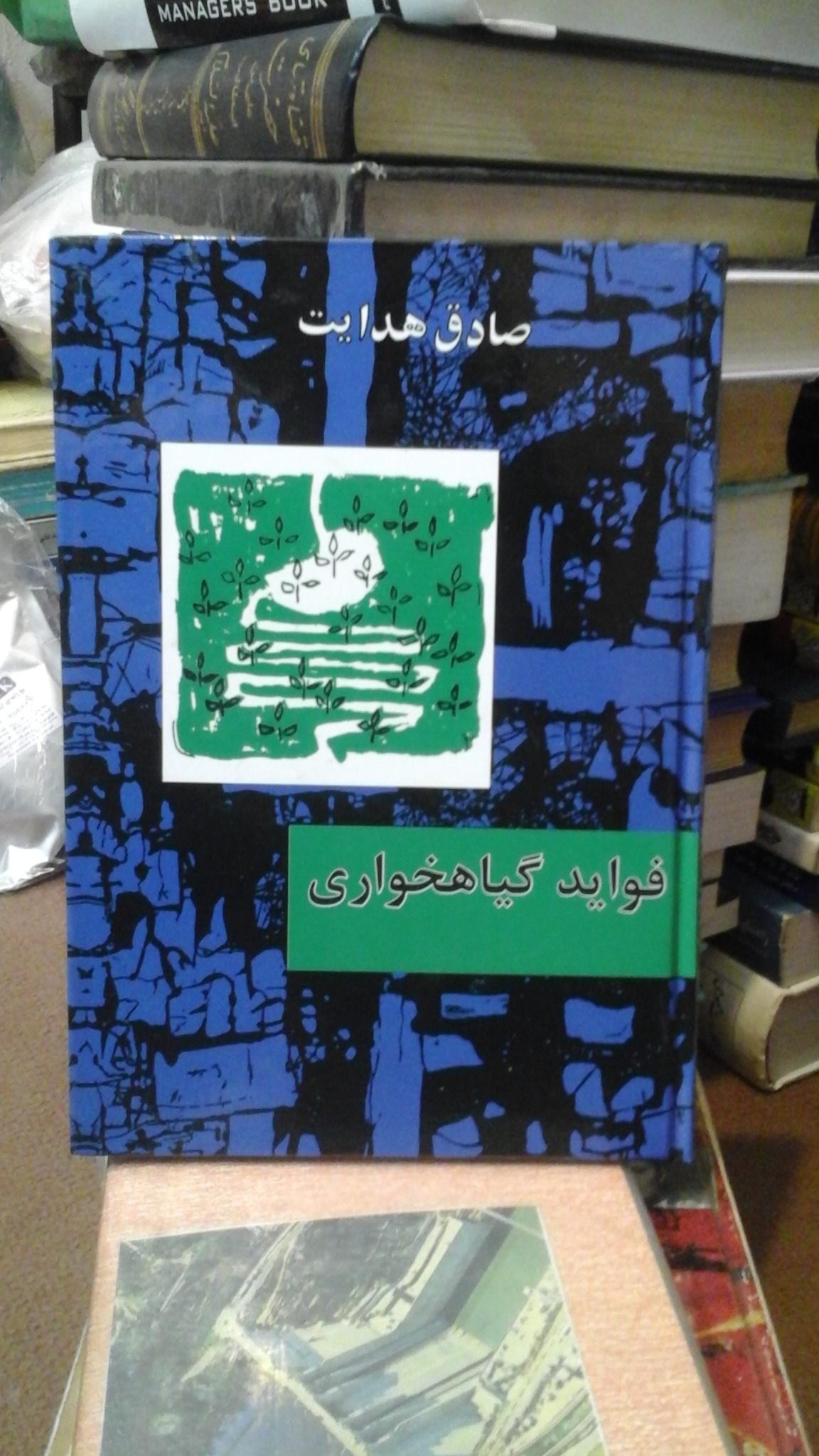 فوائد گیاهخواری/ صادق هدایت، طب سنتی 80 ت