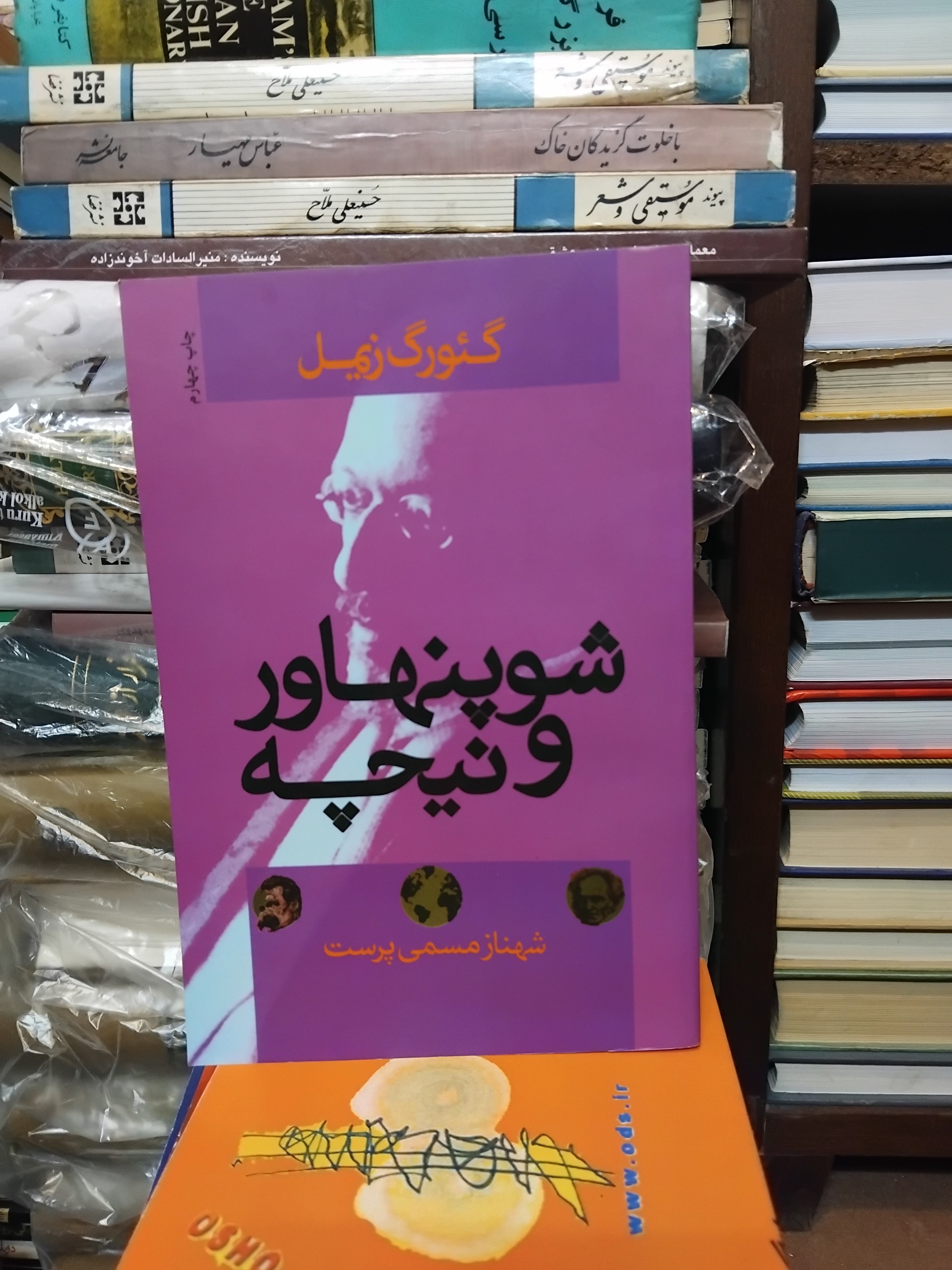 شوپنهاور و نیچه/بررسی آثار و مقایسه دو فیلسوف بزرگ
