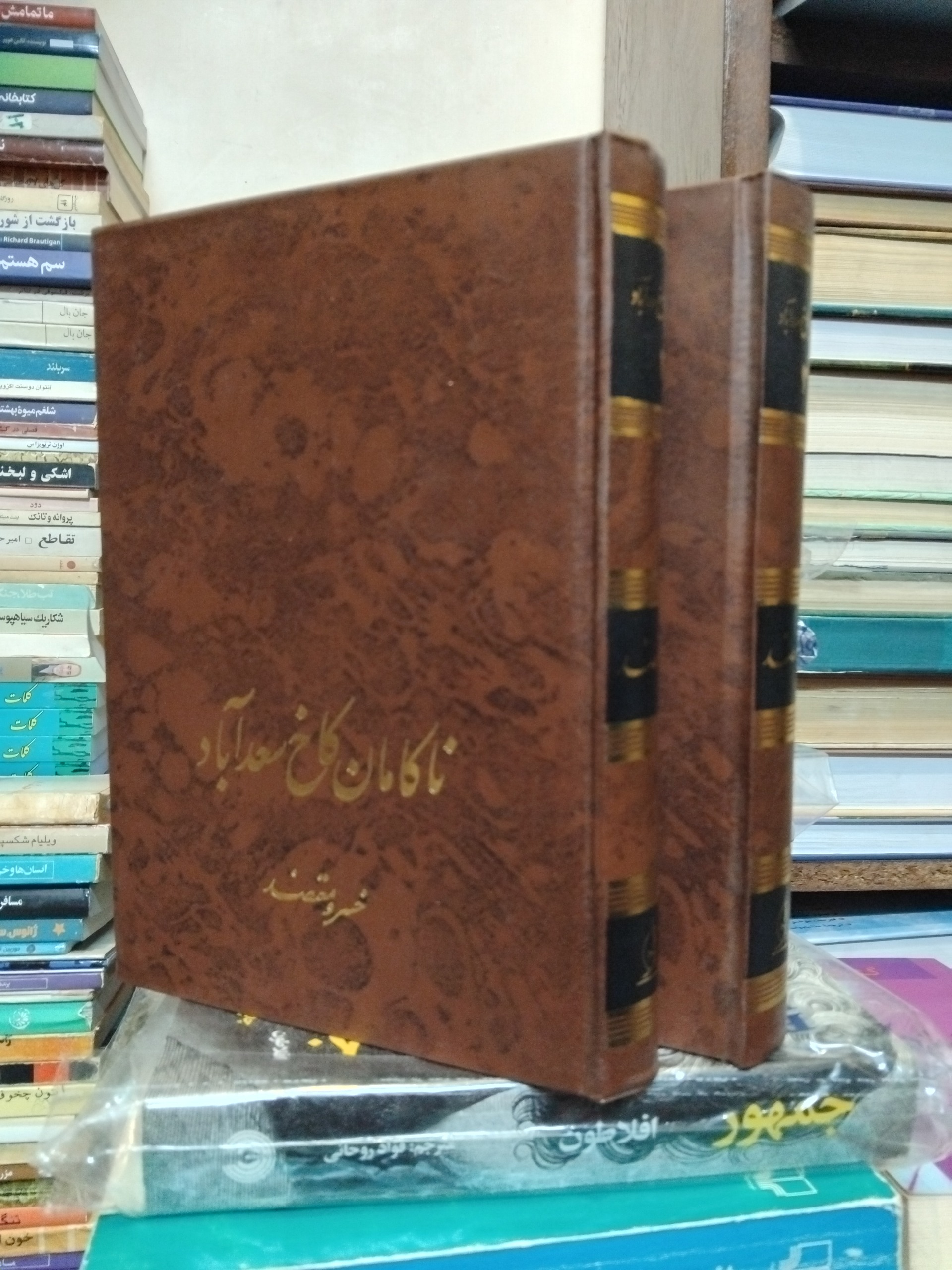 ناکامان کاخ سعدآباد/ تاریخچه سلطنت پهلوی