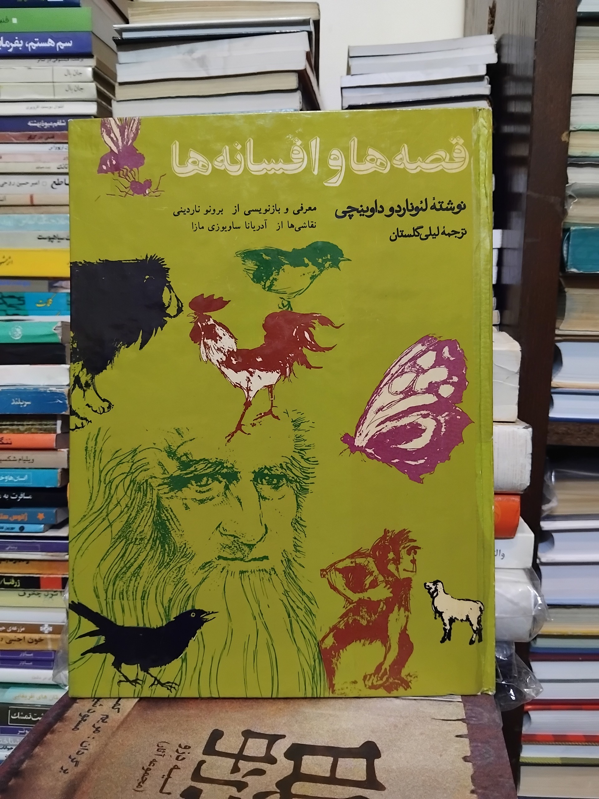 قصه ها و افسانه ها/ لئوناردو داوینچی، مصور