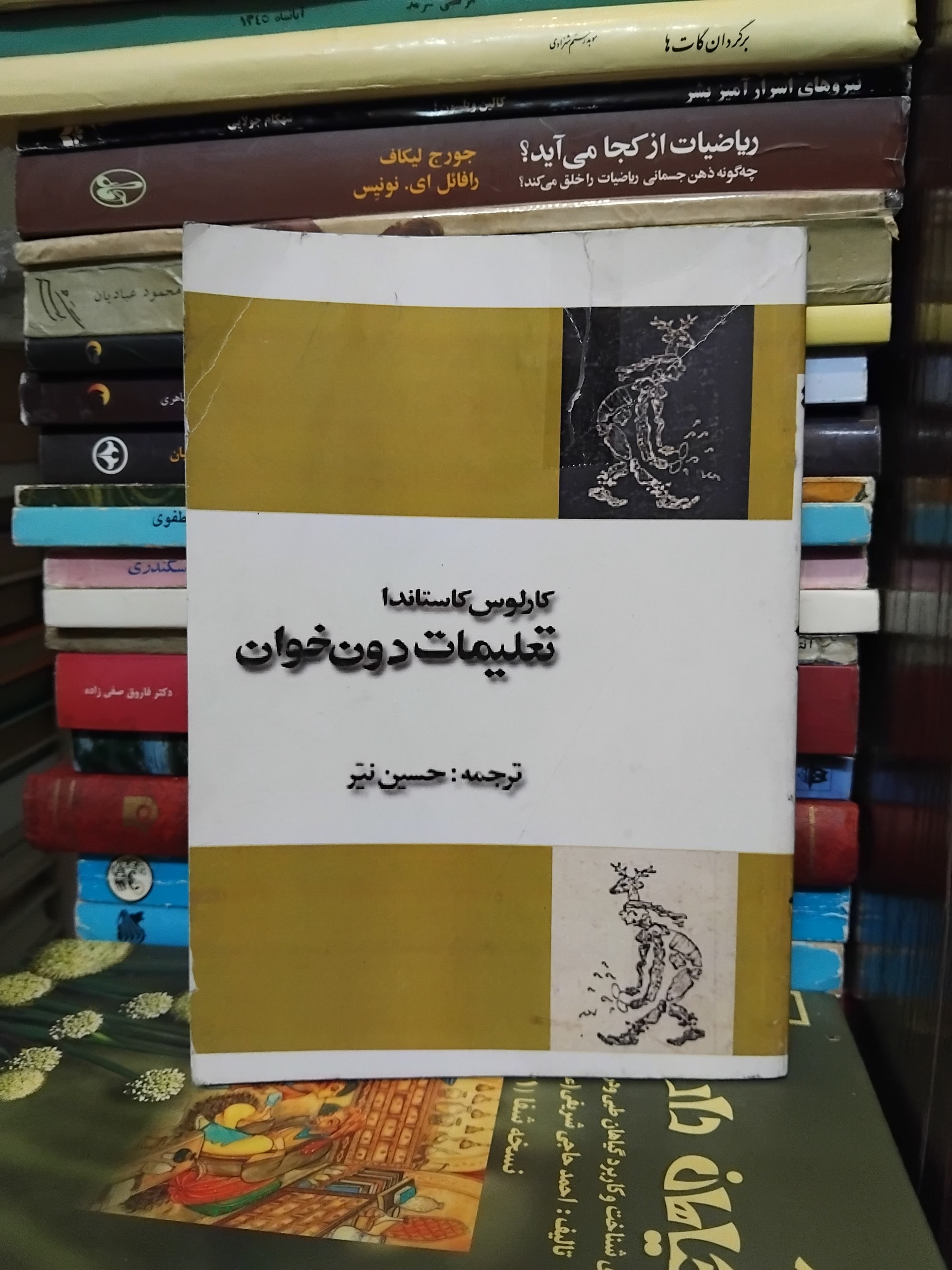 تعلیمات دن خوان/ اثر کارلوس کاستاندا