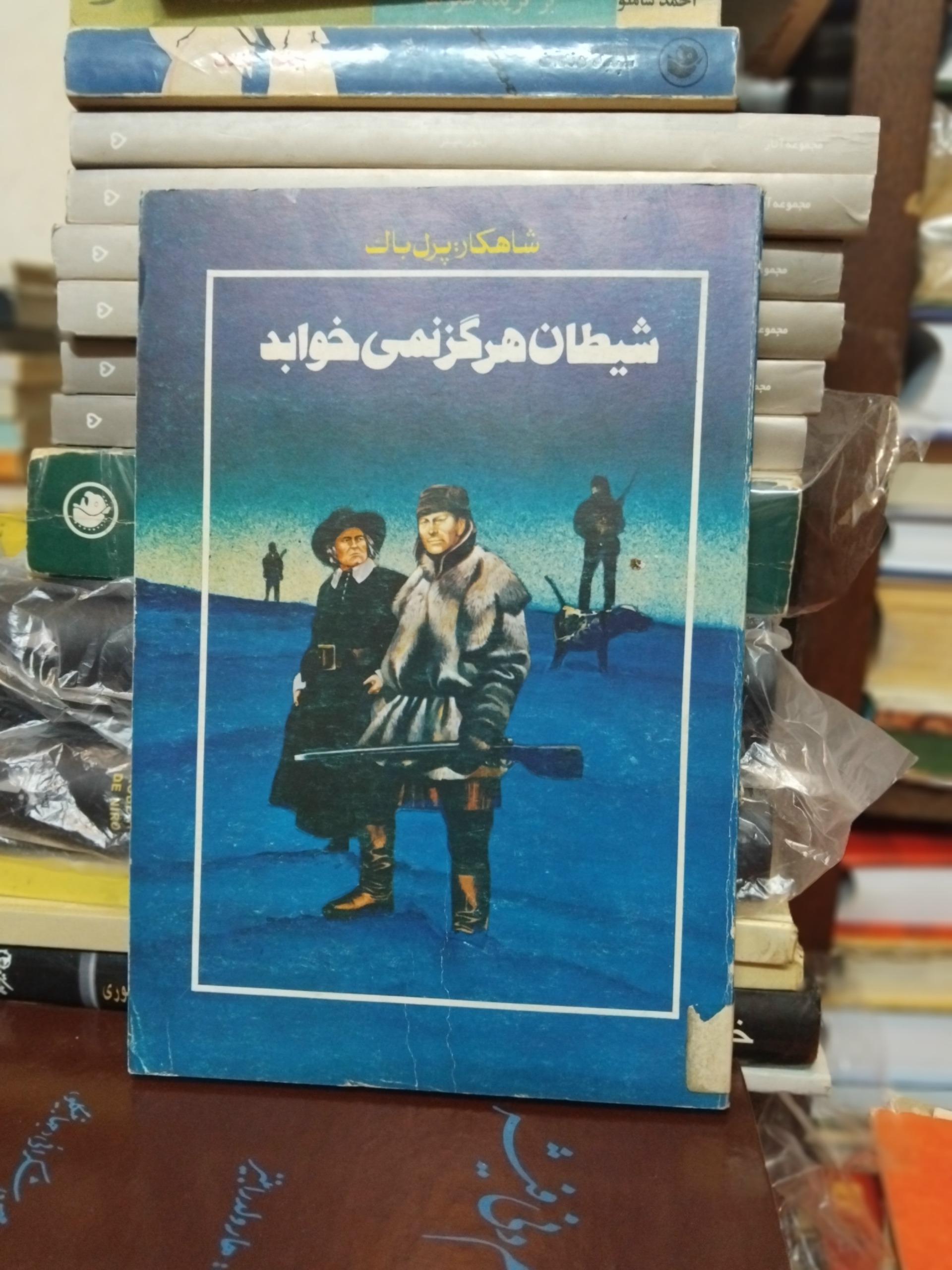 شیطان هرگز نمی خوابد/ رمان جذاب پرل باک