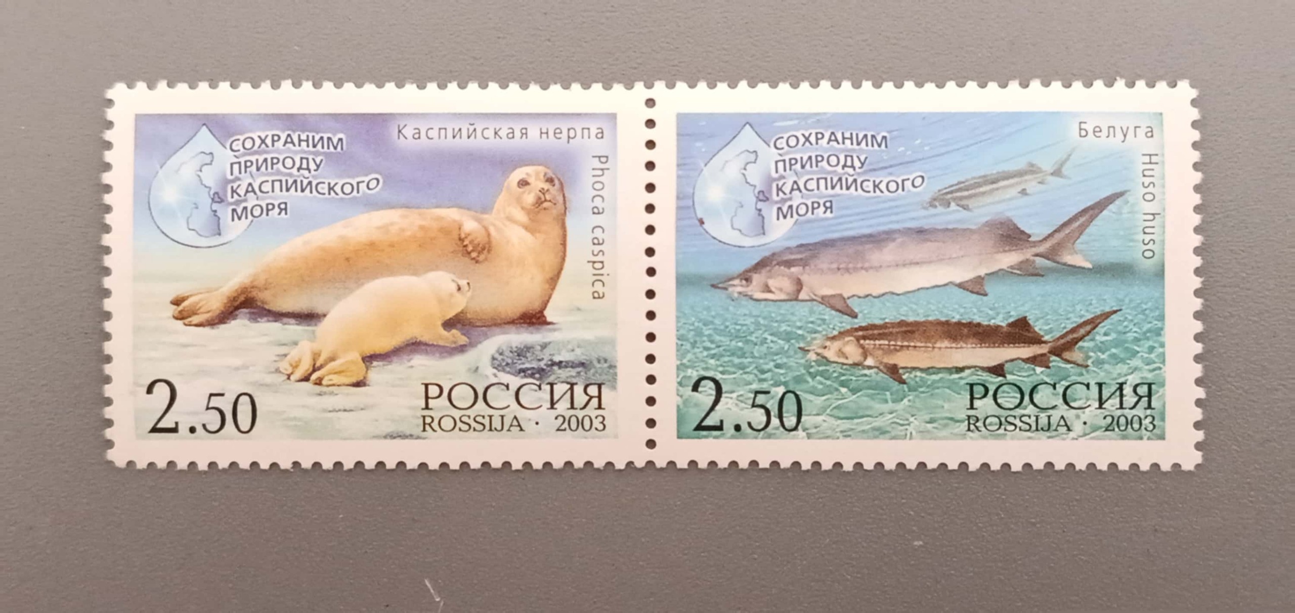 تمبر مشترک ایران و روسیه (چاپ روسیه)