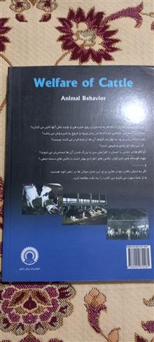 آسایش