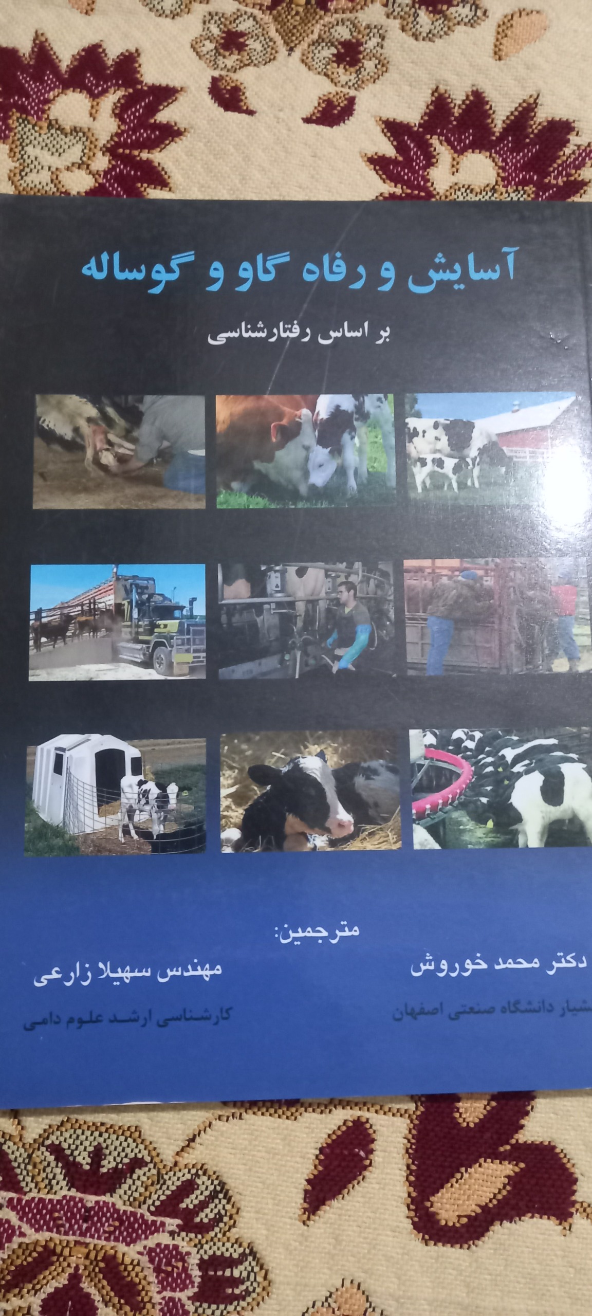 آسایش و رفاه گاو و گوساله