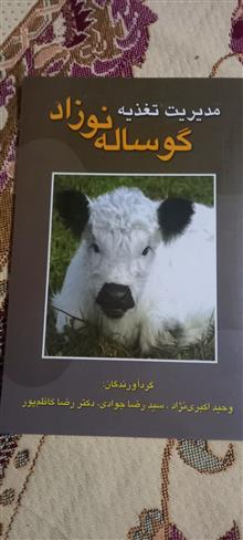 مدیریت