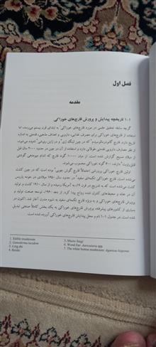 پرورش