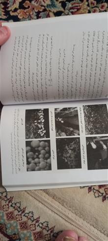 پرورش
