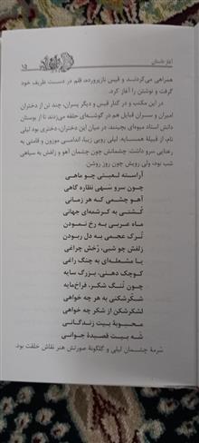 گزیده