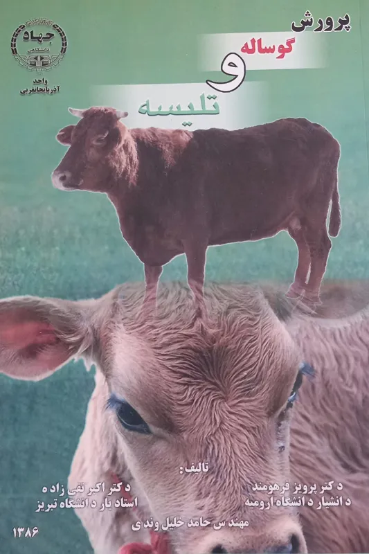 پرورش گوساله و تلیسه
