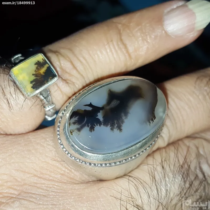 انگشتر نقره قدیمی شجر اصلی با قدمت 80 سال