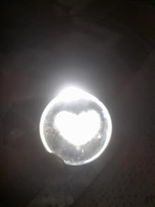 گوی