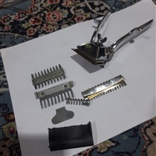 ریش