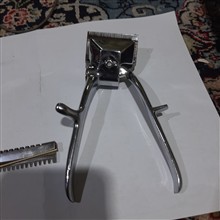 ریش