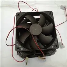 فن