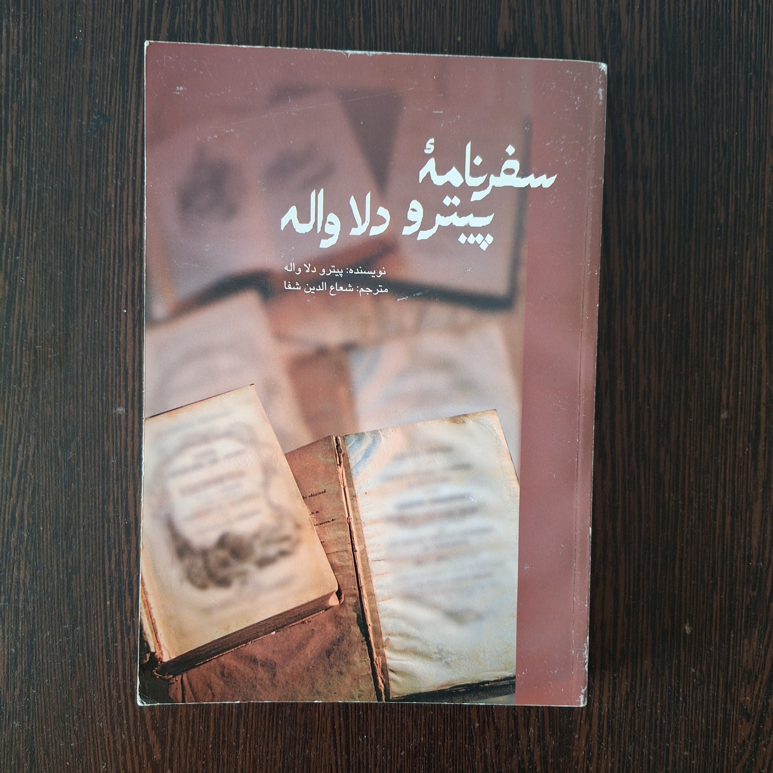 سفرنامه پیترو دلا واله
