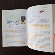 بوم