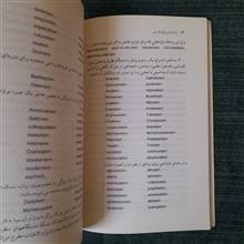 بازاندیشی