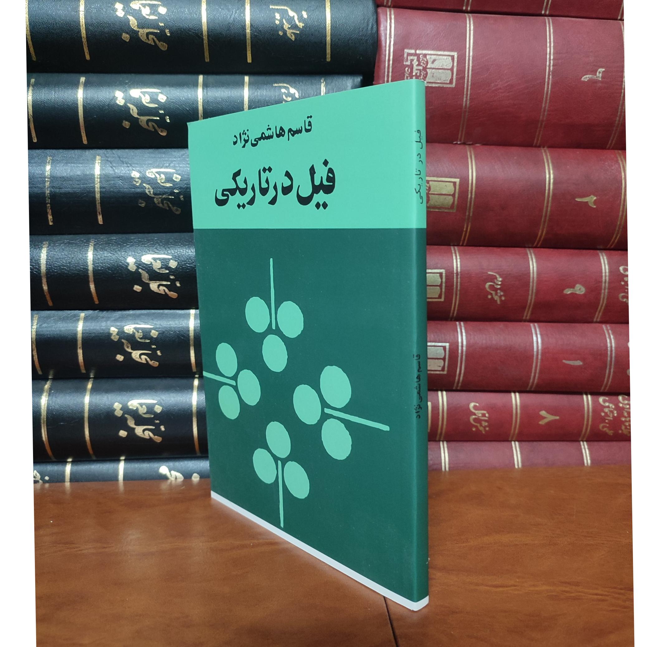فیل در تاریکی _ قاسم هاشمی نژاد