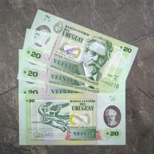 بیست