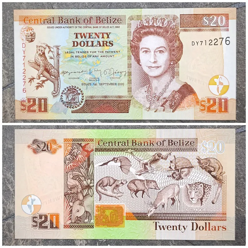 بیست دلار بلیز
