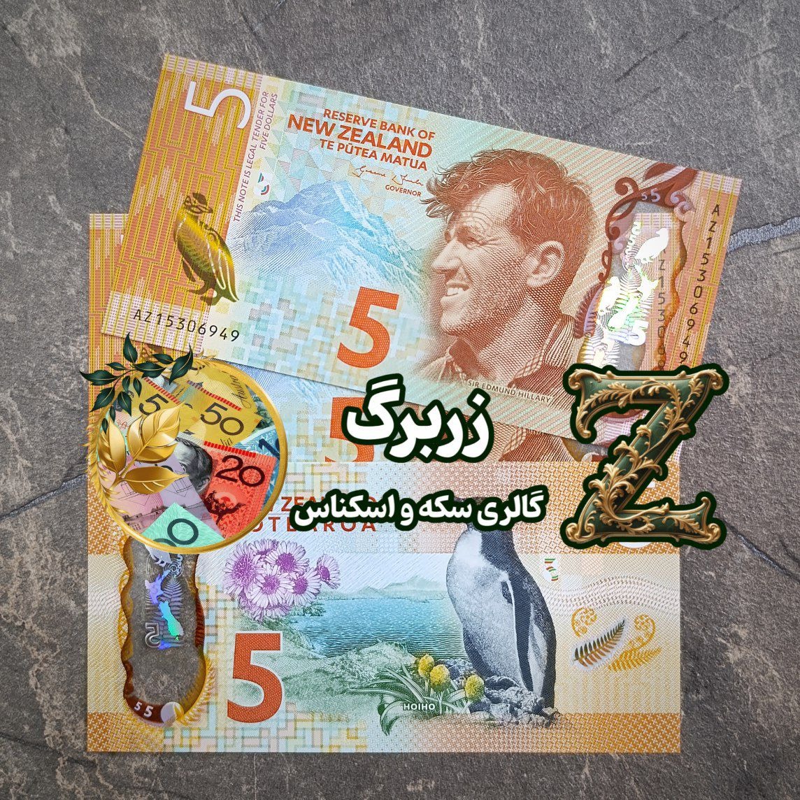 پنج دلار نیوزلند (نیوزیلند)