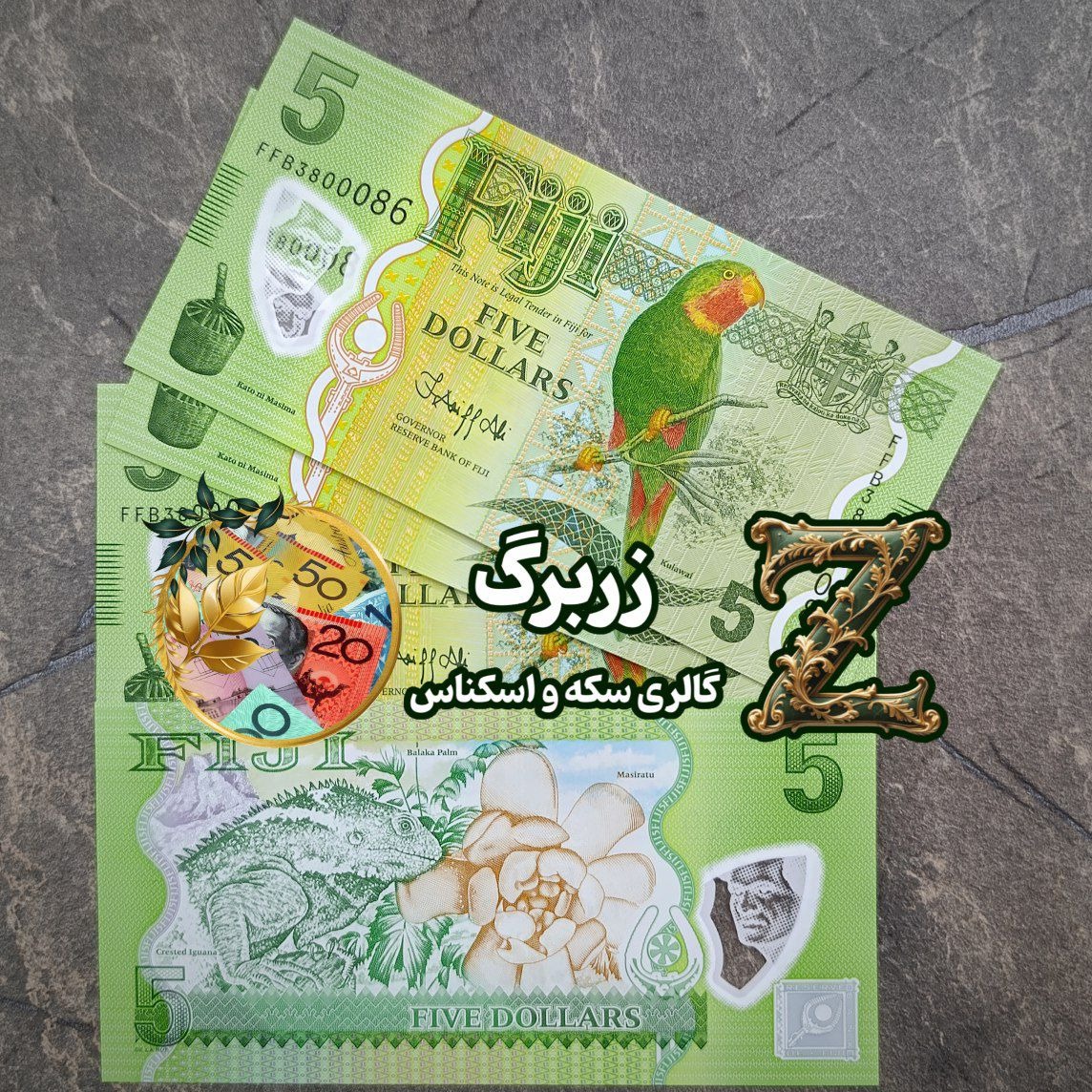 پنج دلار پلمیری فیجی