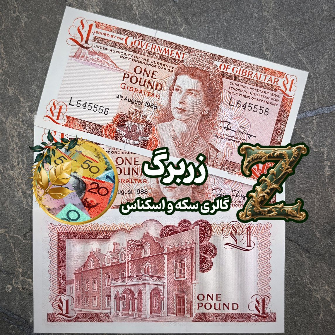 یک پوند جبل الطارق