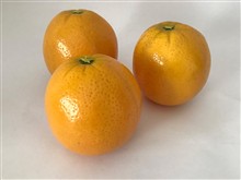 میوه