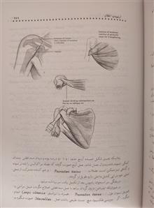بیماریهای