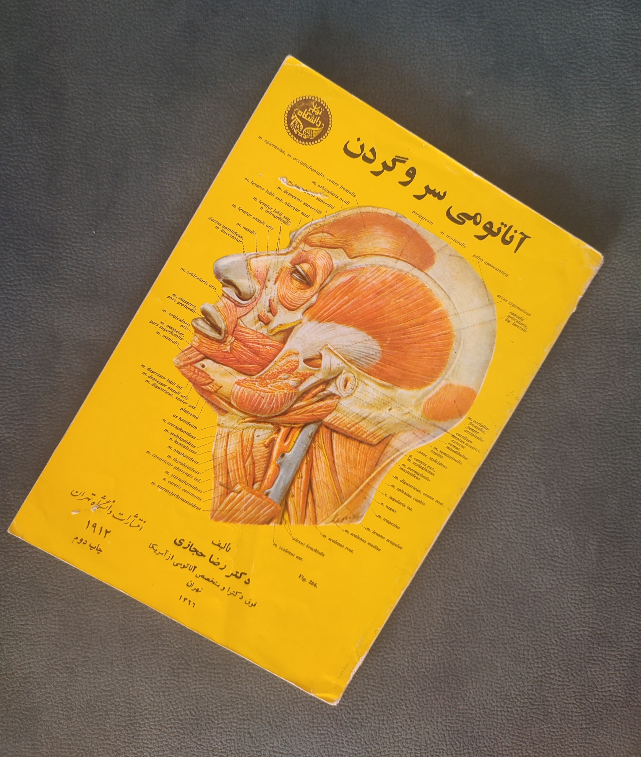 آناتومی سر و گردن