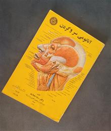 آناتومی