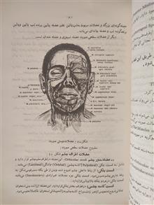 آناتومی
