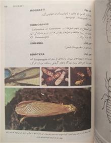 فرهنگ