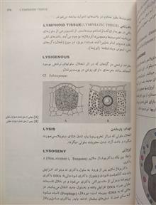 فرهنگ