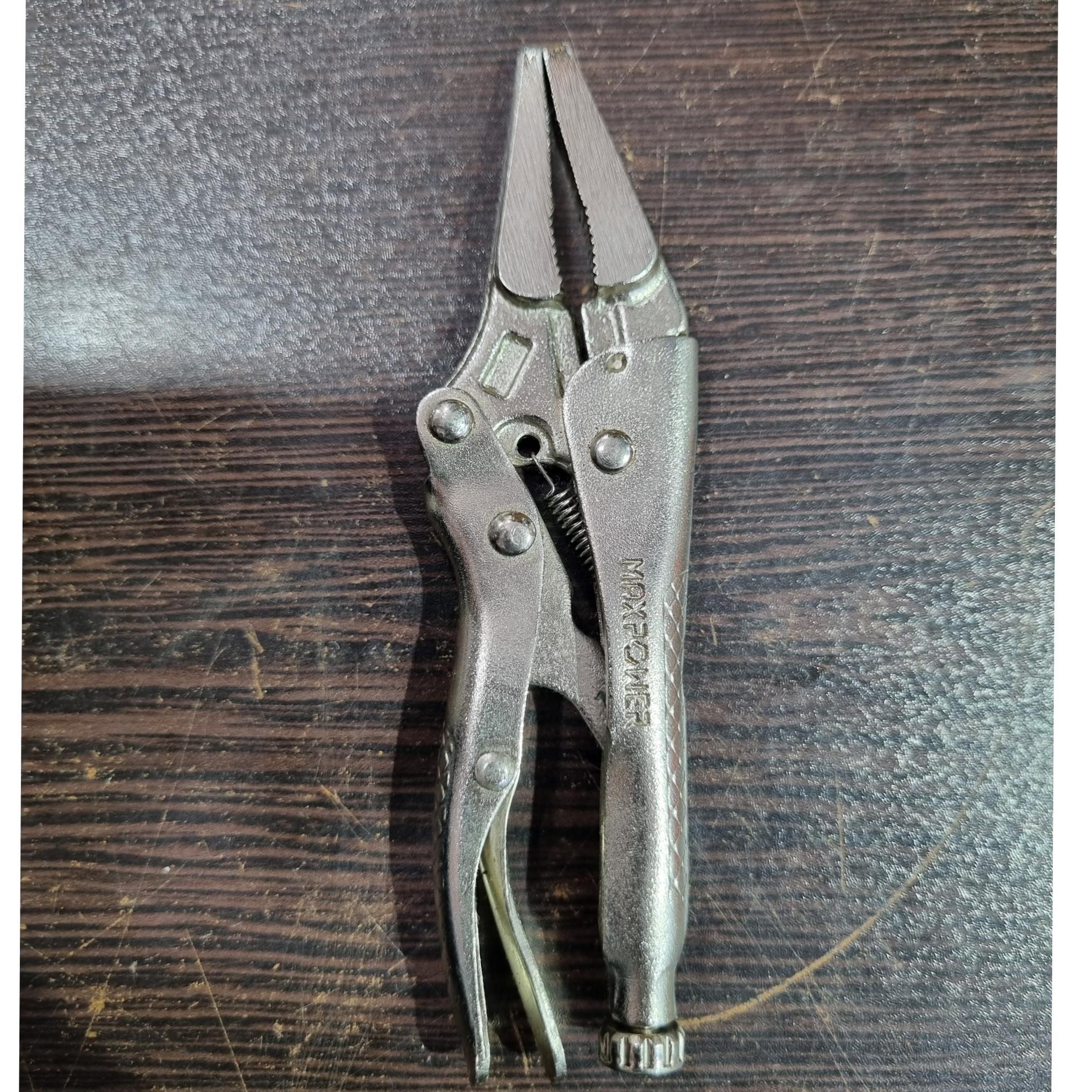 انبرقفلی دمباریک کلکسیونی توضیحات