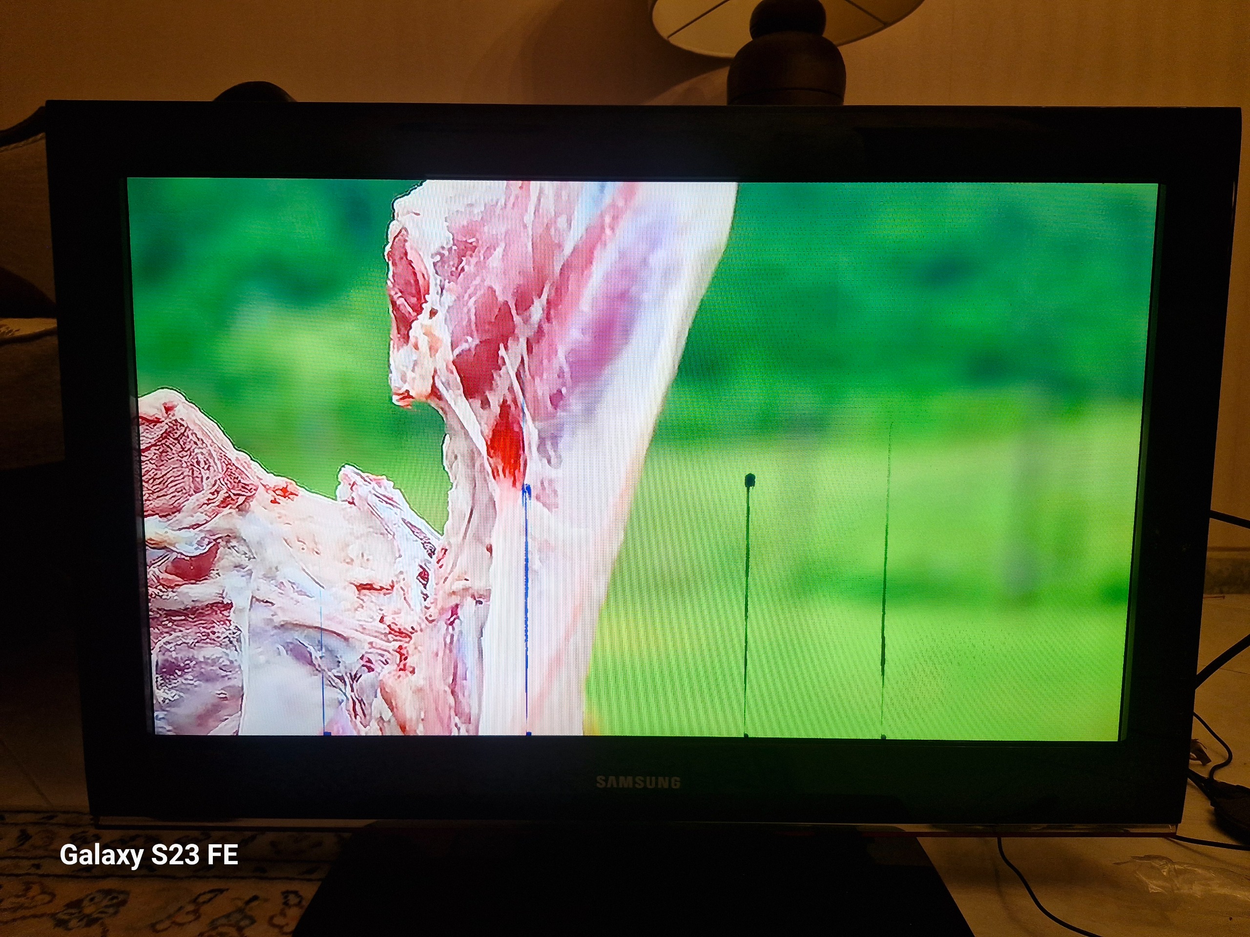 تلویزیون LCD سامسونگ سری 5 توضیح دارد